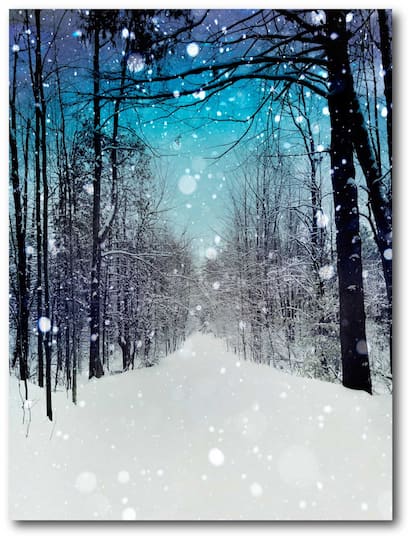 Courtside Market® Winter Wonderland Gallery-Wrapped Canvas Wall Art | 20" x 24" | Michaels®